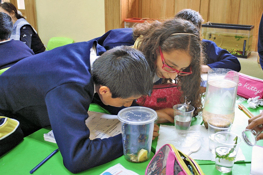 Science Students