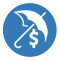 Retirement Benefit Icon